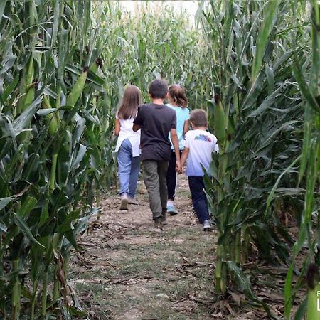 La Selce Farmhouse Bagnario Arsa Bagian luar foto
