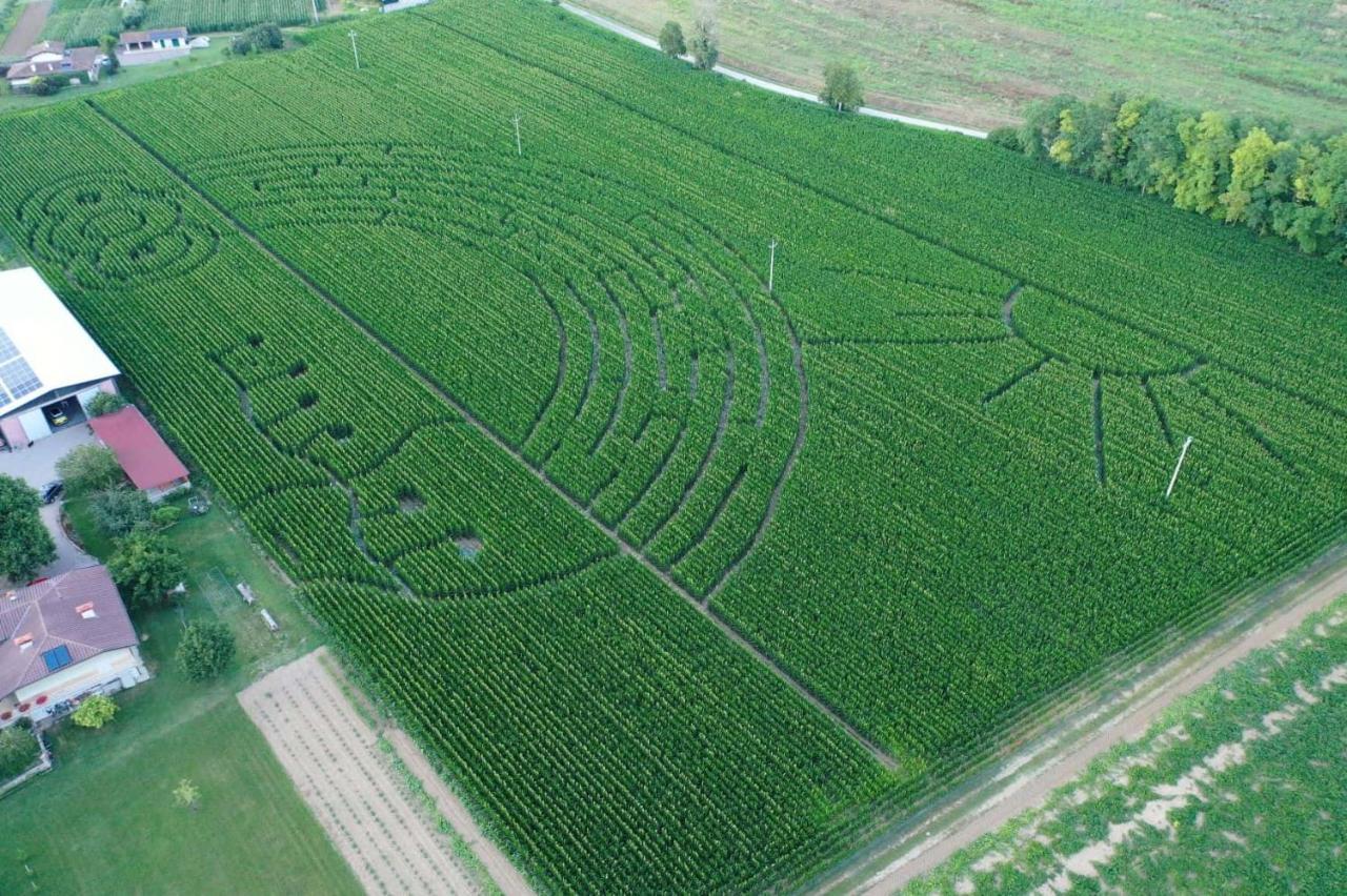 La Selce Farmhouse Bagnario Arsa Bagian luar foto
