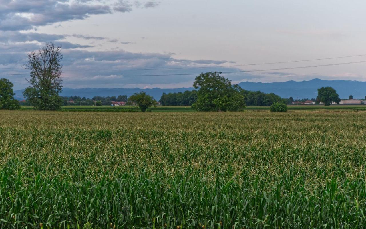 La Selce Farmhouse Bagnario Arsa Bagian luar foto