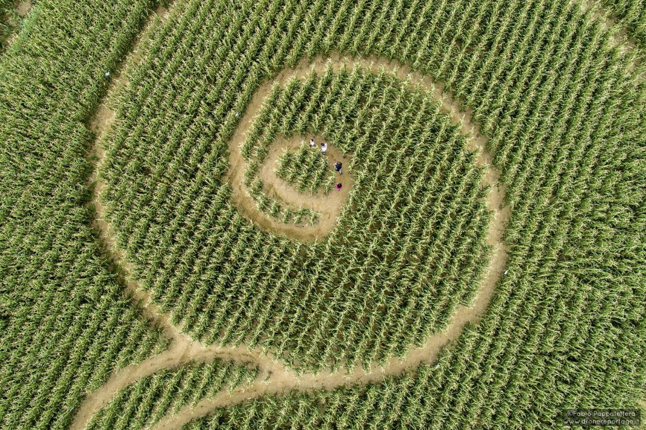 La Selce Farmhouse Bagnario Arsa Bagian luar foto